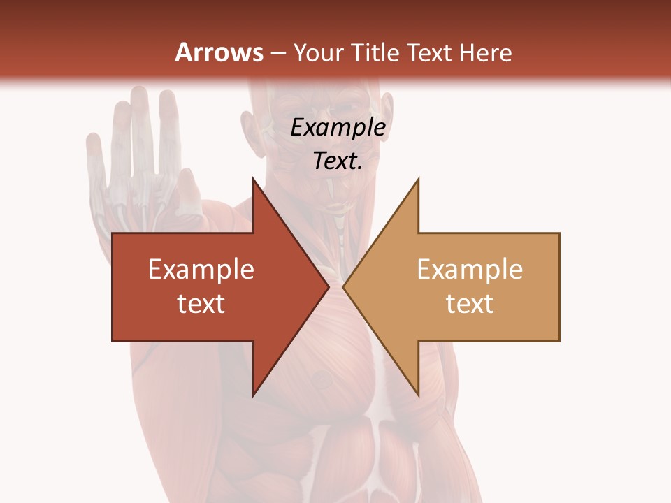 Angle Body Illustration PowerPoint Template