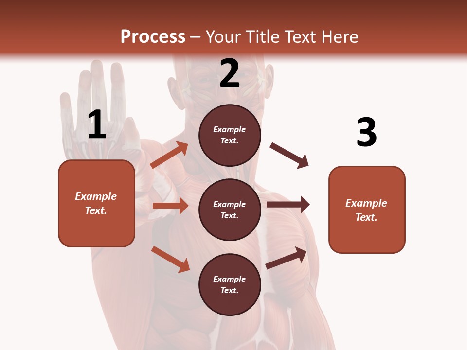 Angle Body Illustration PowerPoint Template