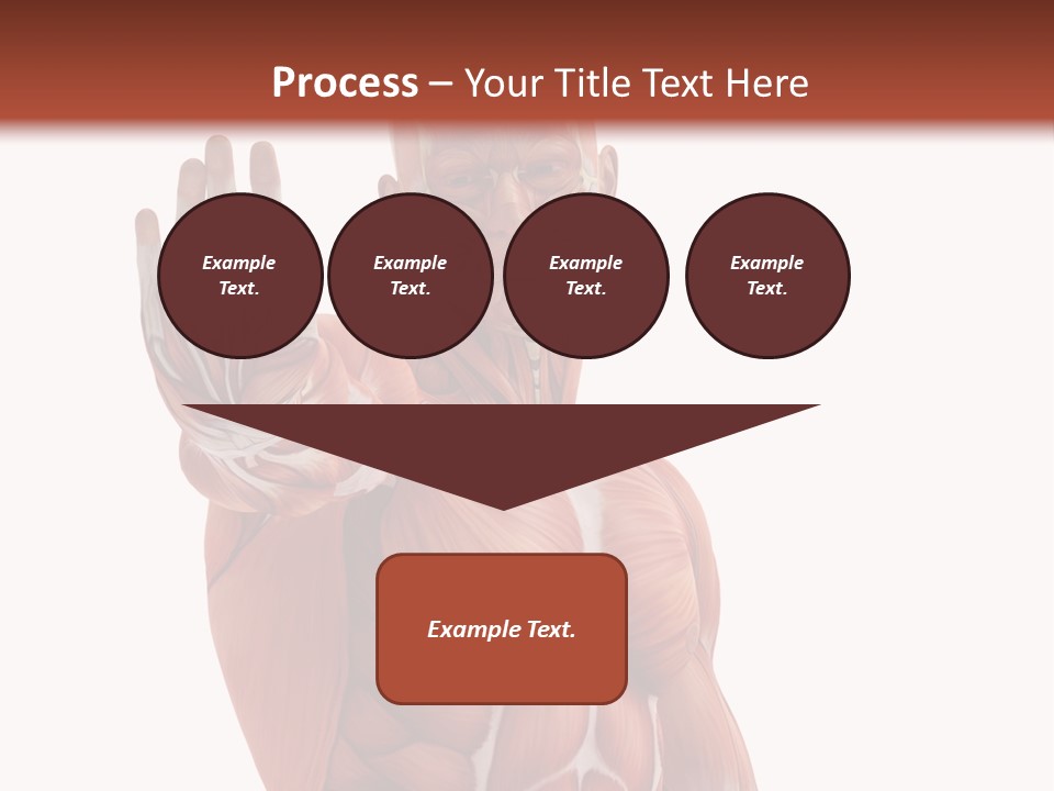 Angle Body Illustration PowerPoint Template