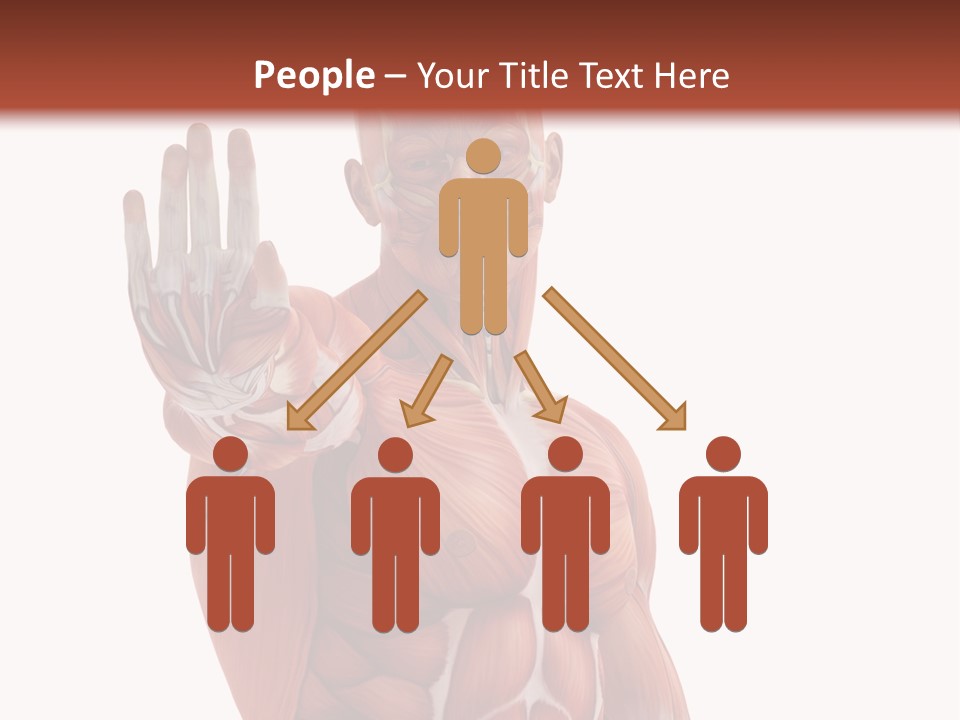 Angle Body Illustration PowerPoint Template