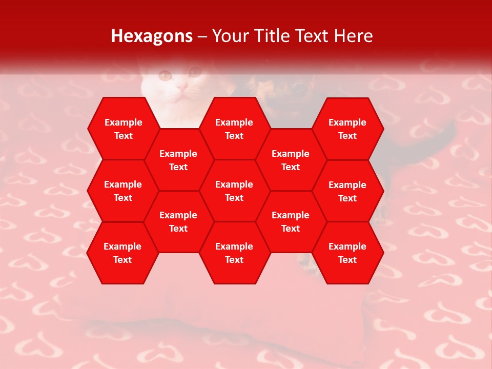 Happiness Fun Face PowerPoint Template