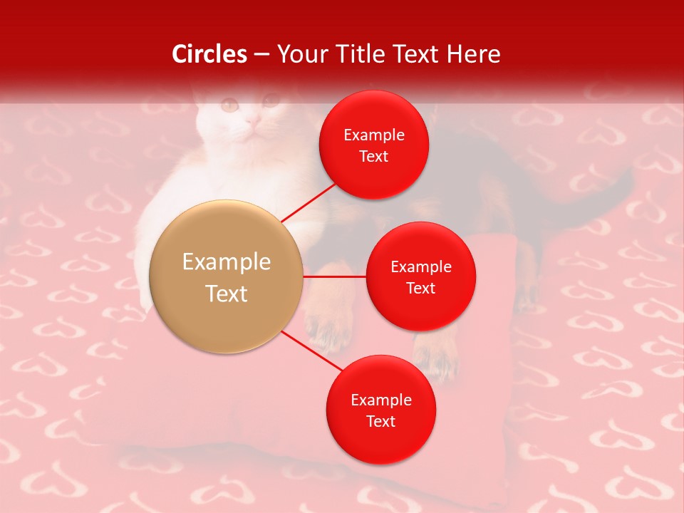 Happiness Fun Face PowerPoint Template