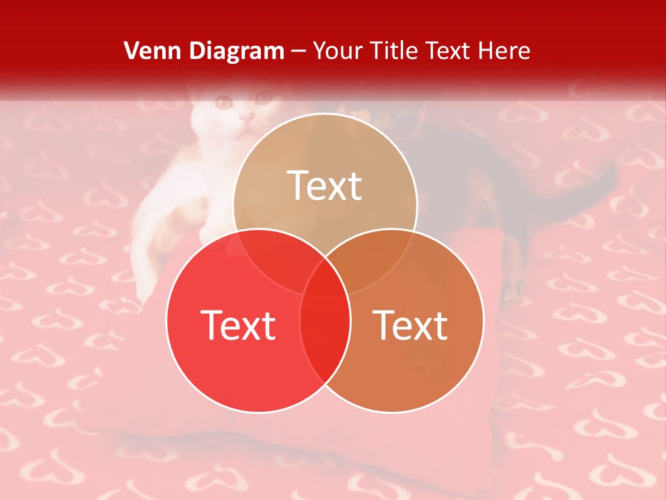 Happiness Fun Face PowerPoint Template