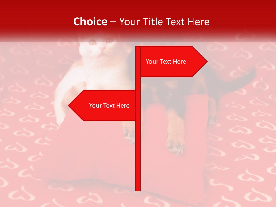 Happiness Fun Face PowerPoint Template