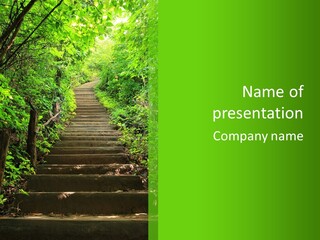Stairway Forest Park PowerPoint Template