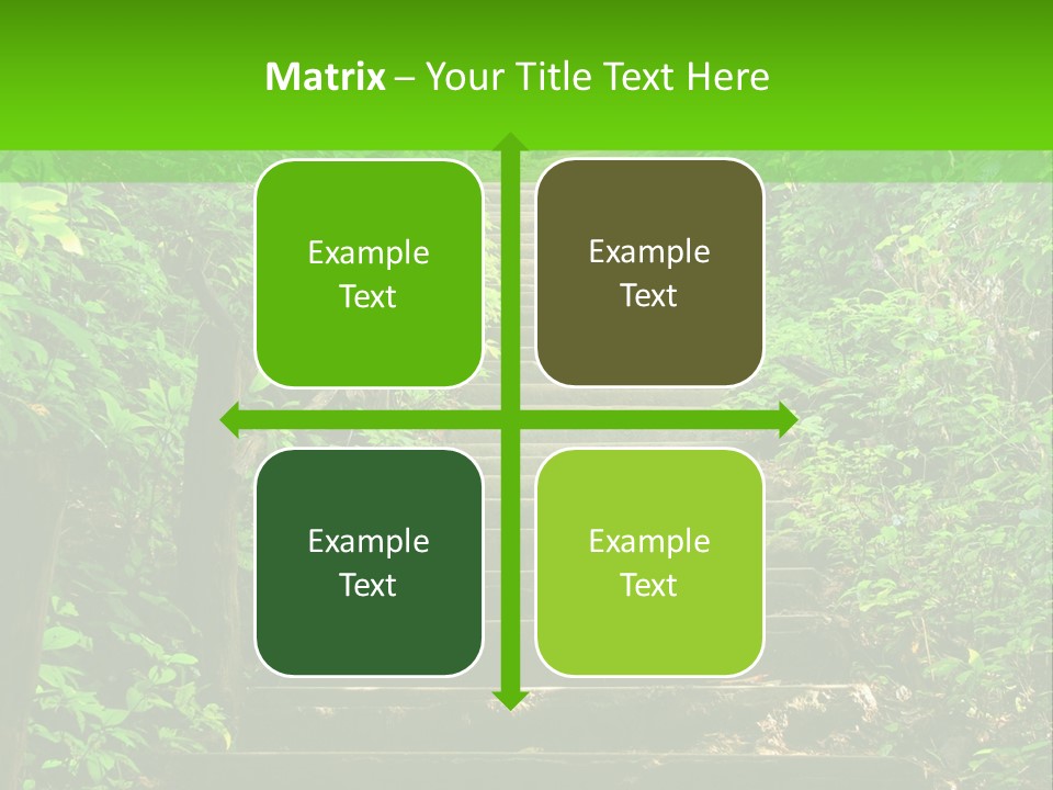 Stairway Forest Park PowerPoint Template