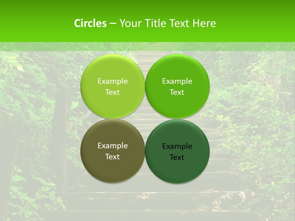 Stairway Forest Park PowerPoint Template