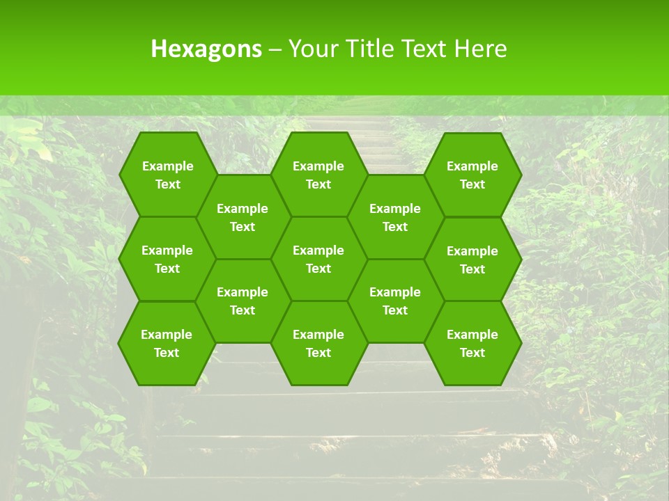 Stairway Forest Park PowerPoint Template