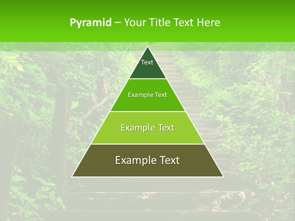 Stairway Forest Park PowerPoint Template