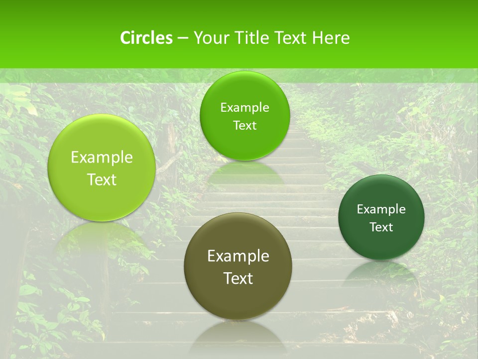 Stairway Forest Park PowerPoint Template