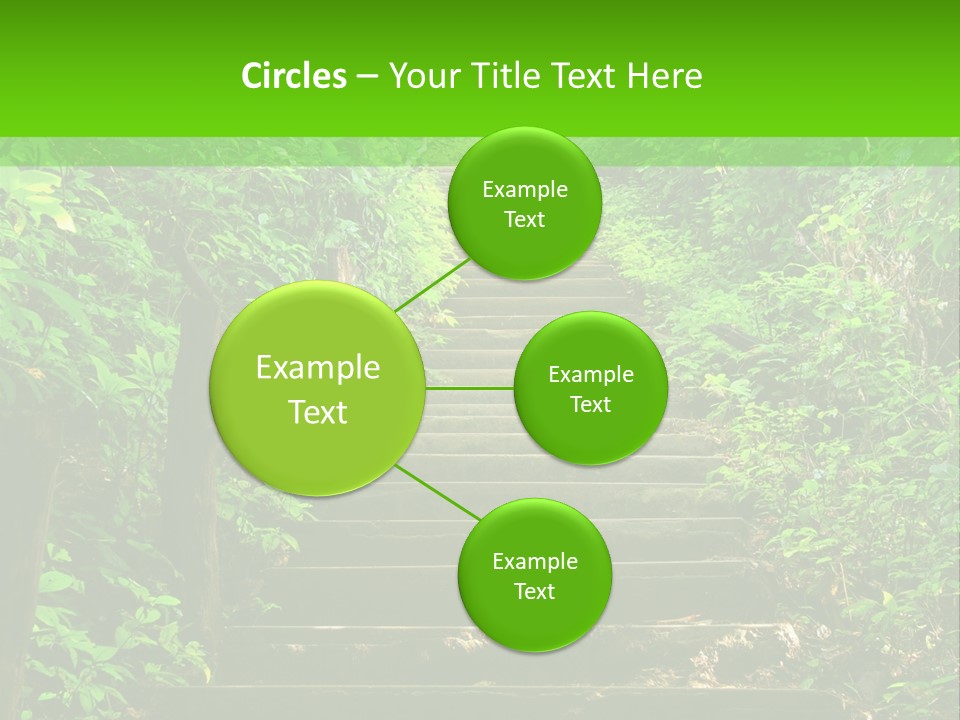Stairway Forest Park PowerPoint Template