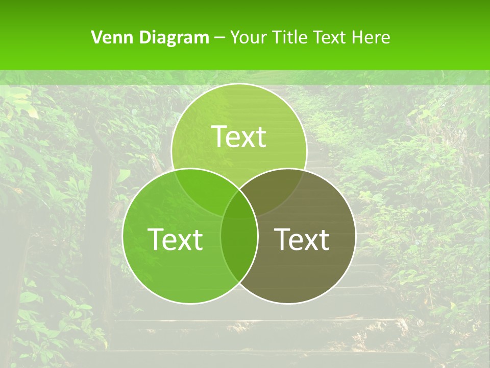 Stairway Forest Park PowerPoint Template
