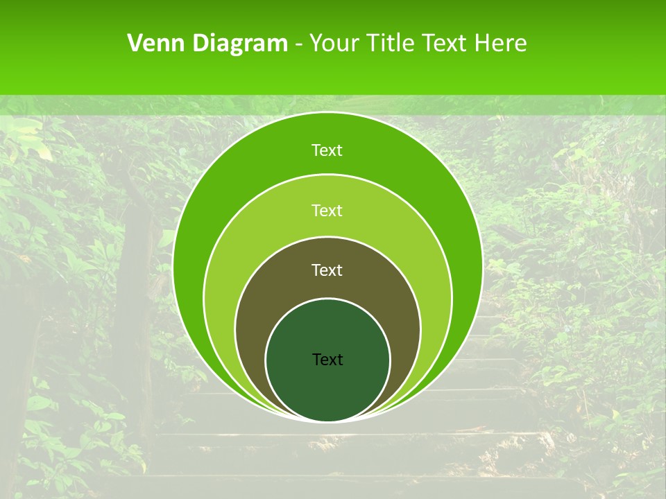 Stairway Forest Park PowerPoint Template