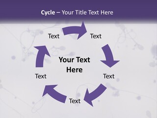 Slide Research Male PowerPoint Template