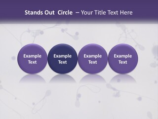 Slide Research Male PowerPoint Template