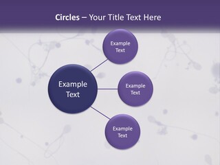 Slide Research Male PowerPoint Template