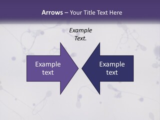Slide Research Male PowerPoint Template