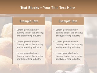 Butter Brazilian Cuisine P PowerPoint Template