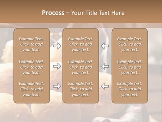 Butter Brazilian Cuisine P PowerPoint Template