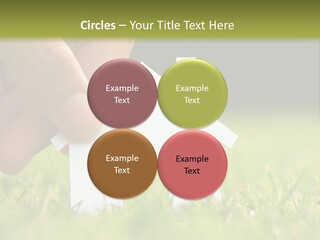 New Build Ownership PowerPoint Template