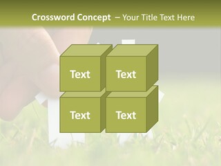 New Build Ownership PowerPoint Template