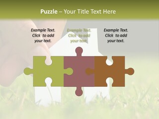 New Build Ownership PowerPoint Template