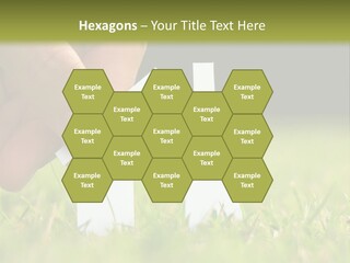 New Build Ownership PowerPoint Template