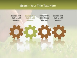 New Build Ownership PowerPoint Template