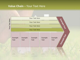 New Build Ownership PowerPoint Template