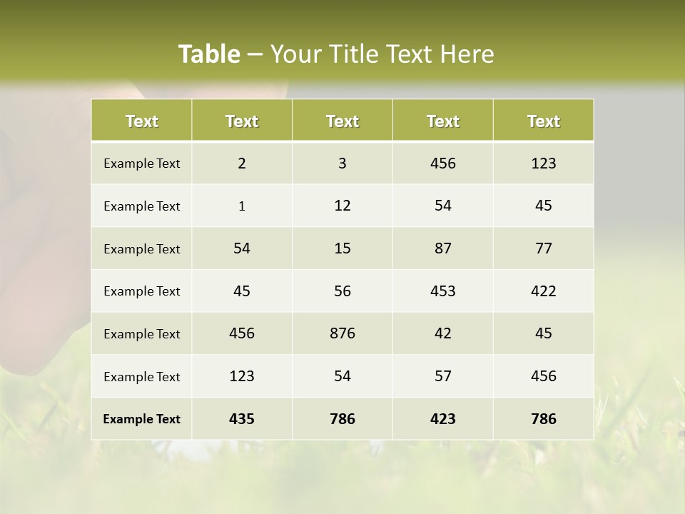New Build Ownership PowerPoint Template