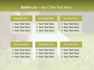 New Build Ownership PowerPoint Template