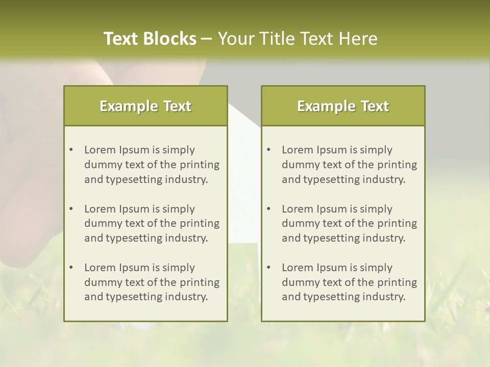 New Build Ownership PowerPoint Template