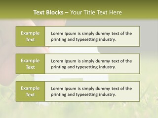 New Build Ownership PowerPoint Template