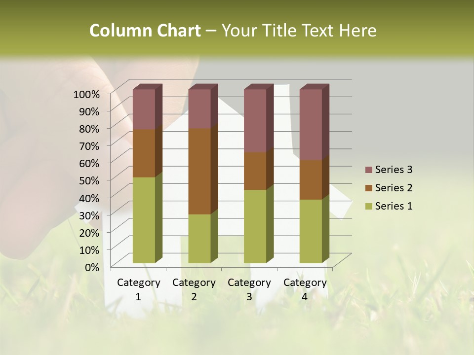 New Build Ownership PowerPoint Template