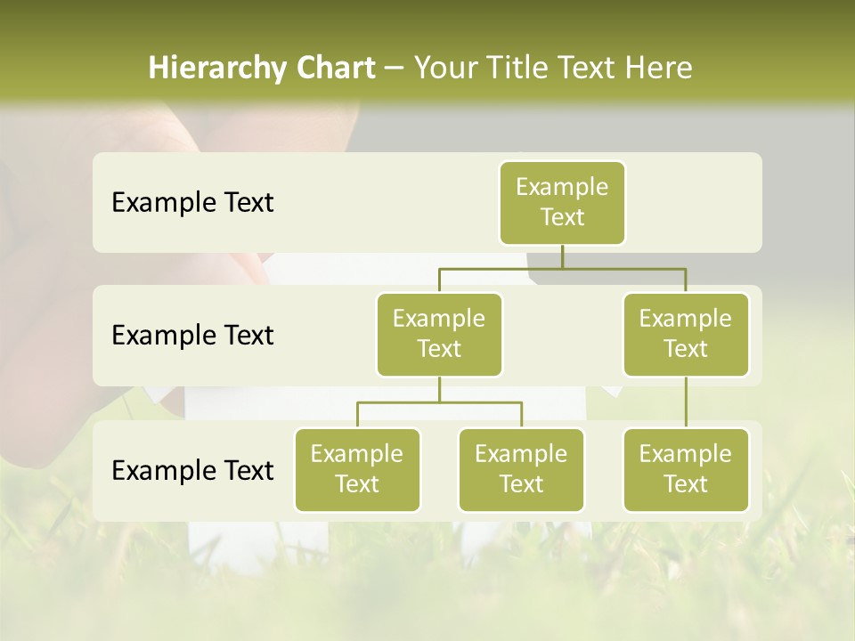New Build Ownership PowerPoint Template