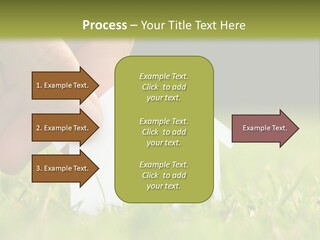 New Build Ownership PowerPoint Template