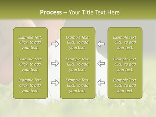 New Build Ownership PowerPoint Template