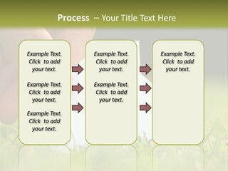 New Build Ownership PowerPoint Template