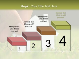 New Build Ownership PowerPoint Template