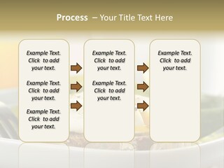 Building House Illustration PowerPoint Template