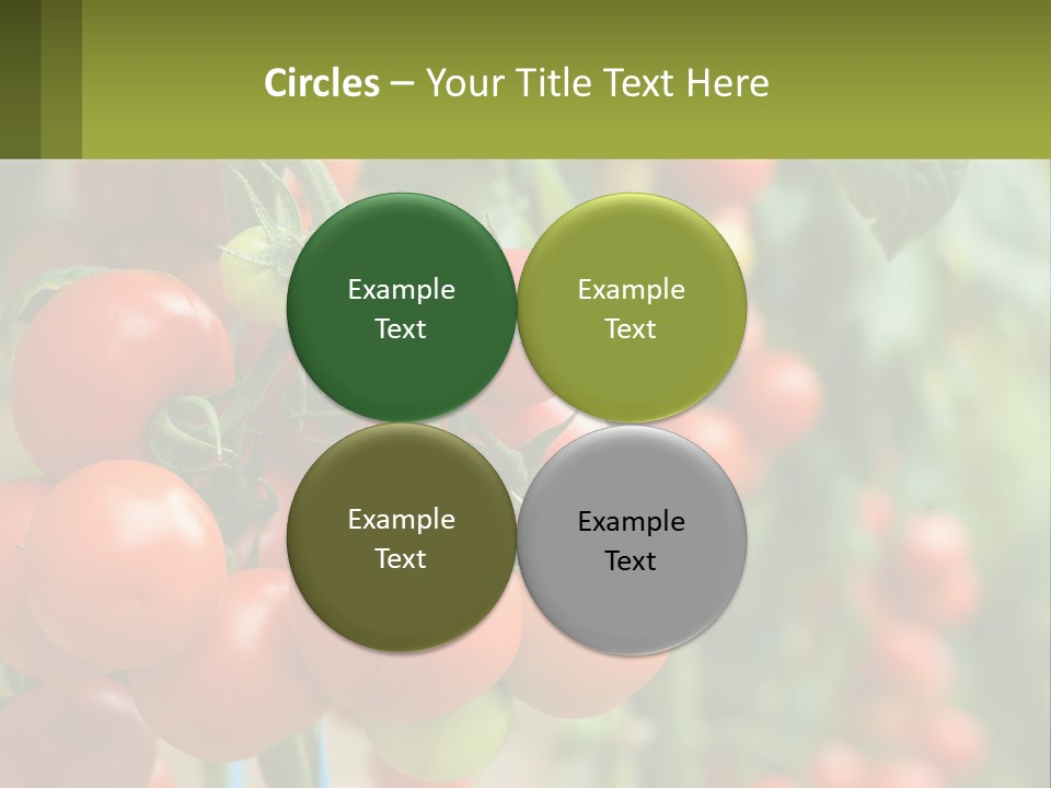 Cityscape Ball Concept PowerPoint Template
