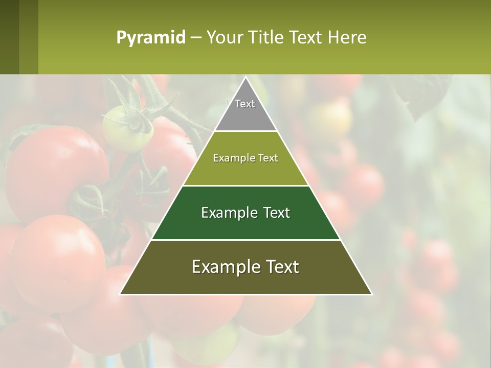 Cityscape Ball Concept PowerPoint Template