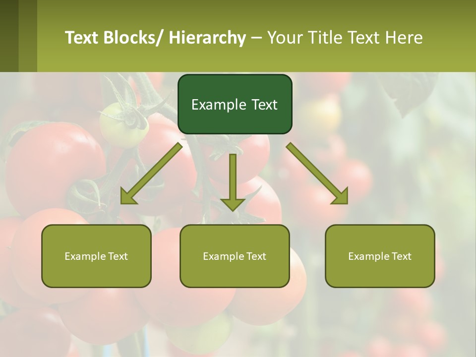 Cityscape Ball Concept PowerPoint Template