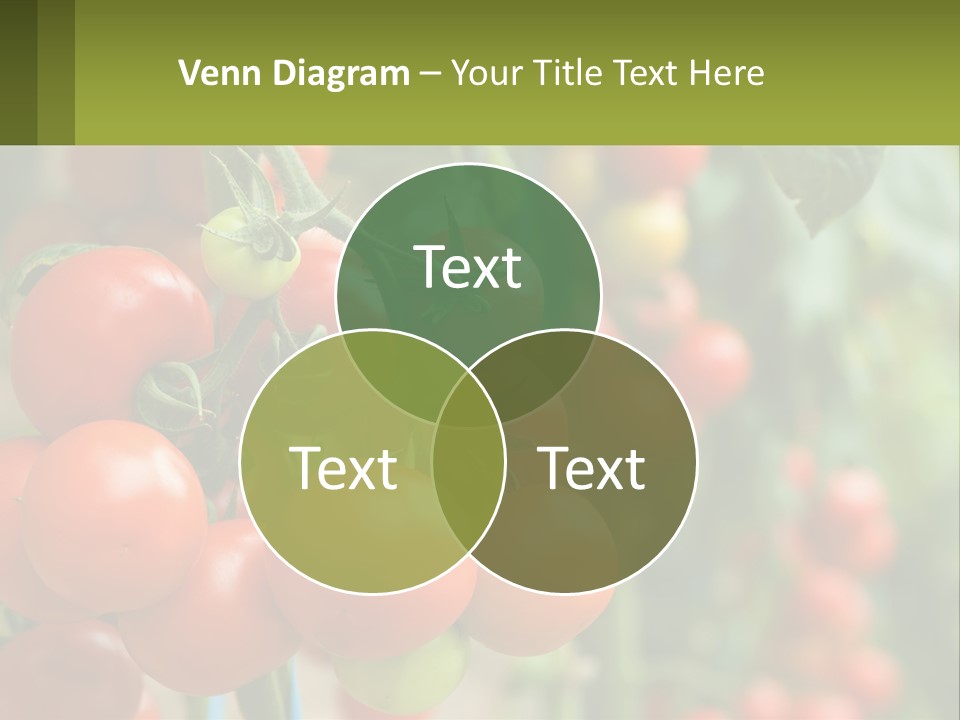 Cityscape Ball Concept PowerPoint Template