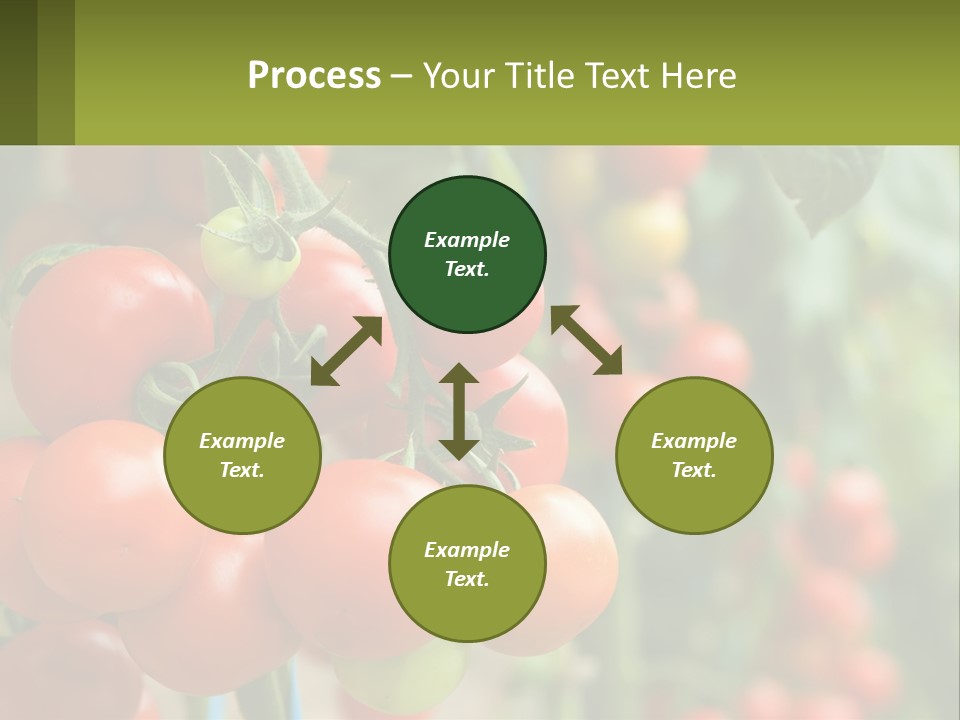 Cityscape Ball Concept PowerPoint Template