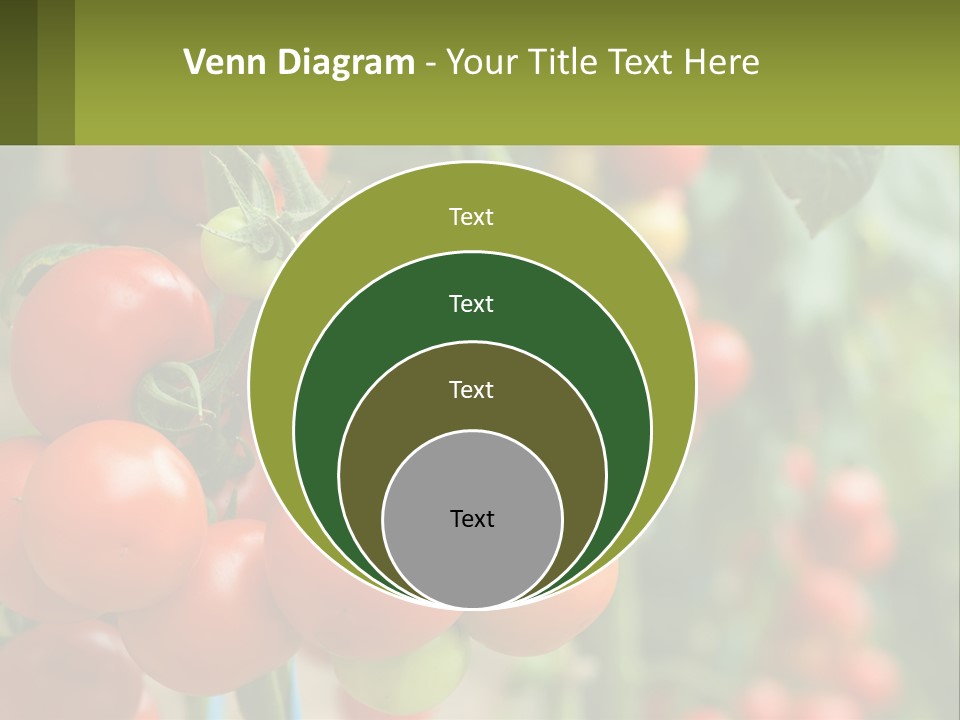 Cityscape Ball Concept PowerPoint Template