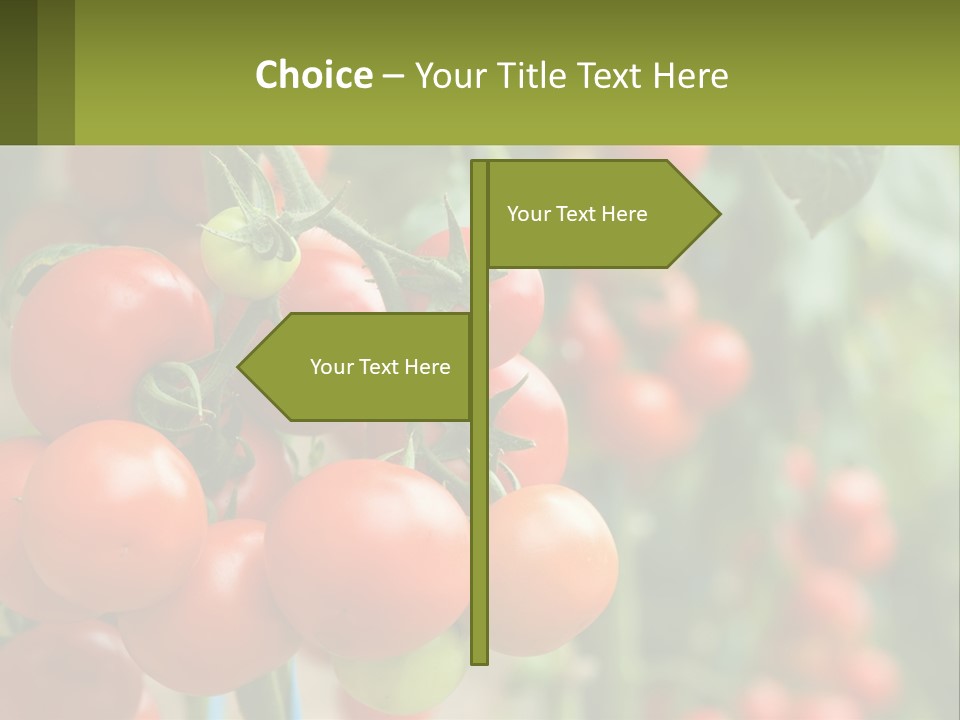 Cityscape Ball Concept PowerPoint Template