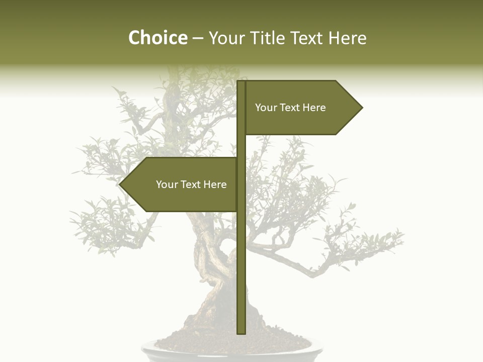 Background Environment High PowerPoint Template