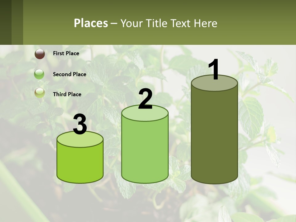 Black Cityscape Tall PowerPoint Template