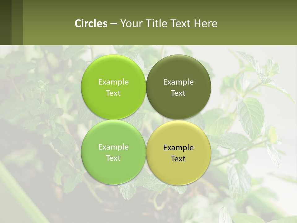 Black Cityscape Tall PowerPoint Template